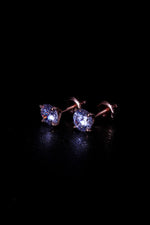 Load image into Gallery viewer, Nicole Earrings
