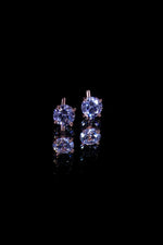 Load image into Gallery viewer, Nicole Earrings