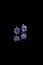 Load image into Gallery viewer, Nicole Earrings
