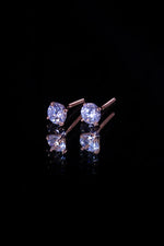 Load image into Gallery viewer, Nicole Earrings
