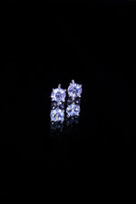 Load image into Gallery viewer, Nicole Earrings
